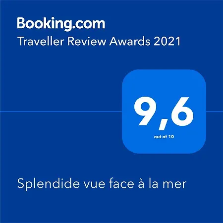Splendide Vue Face à La Concarneau